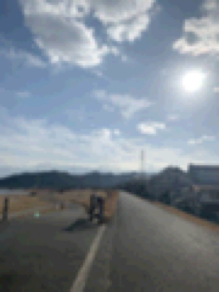 投稿された画像