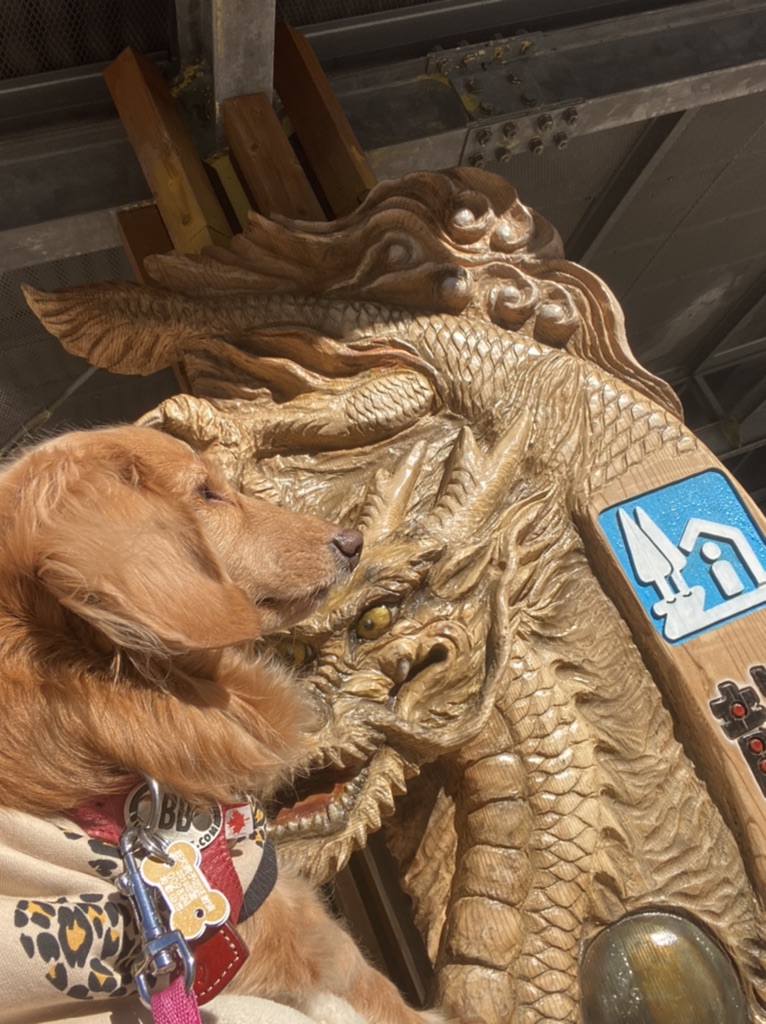 投稿された画像