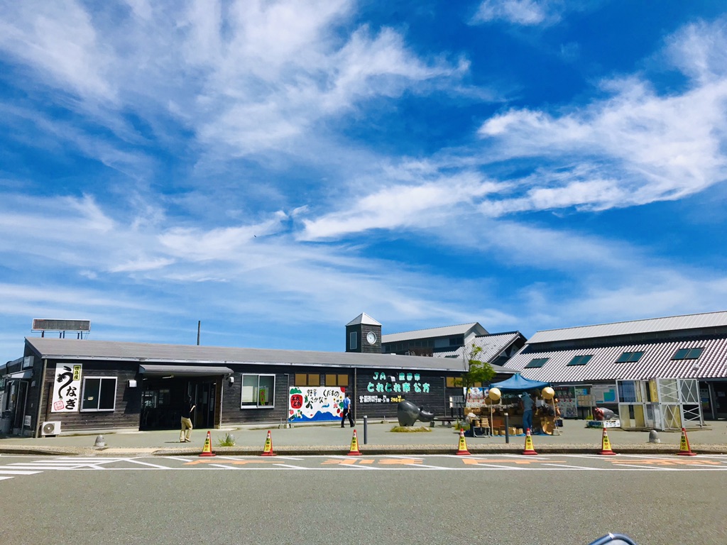 投稿された画像