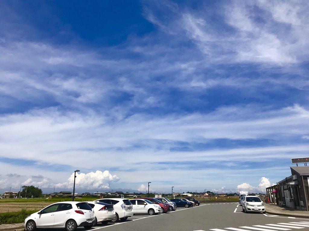 投稿された画像
