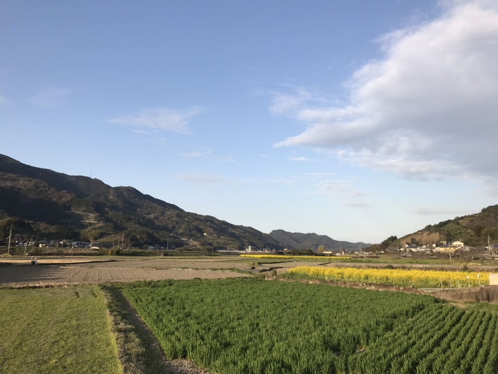 投稿された画像