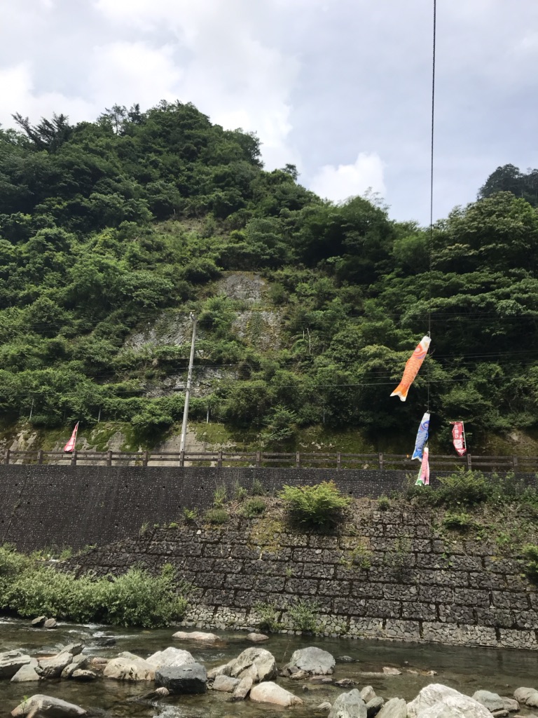 投稿された画像