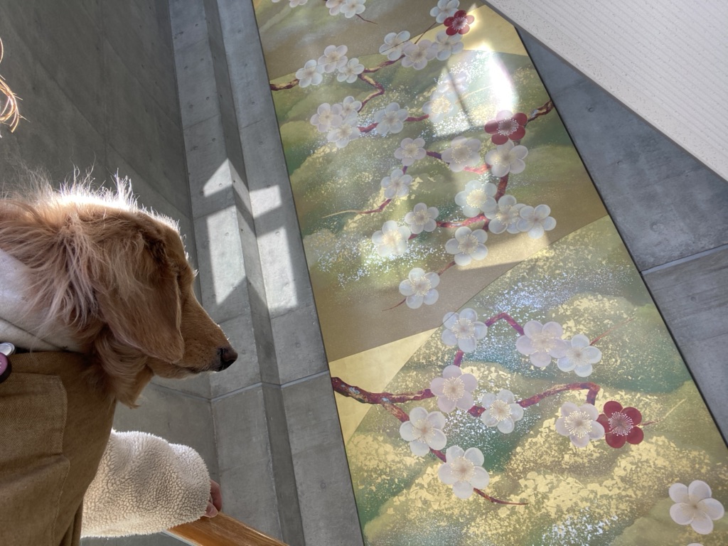 投稿された画像