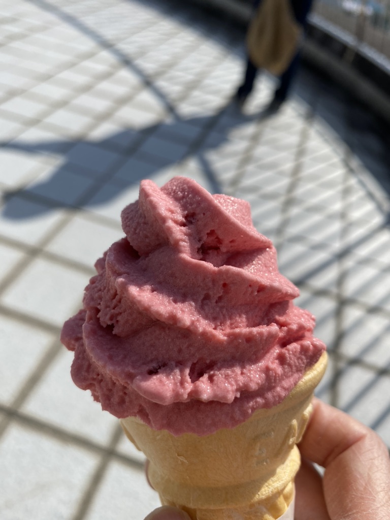 投稿された画像