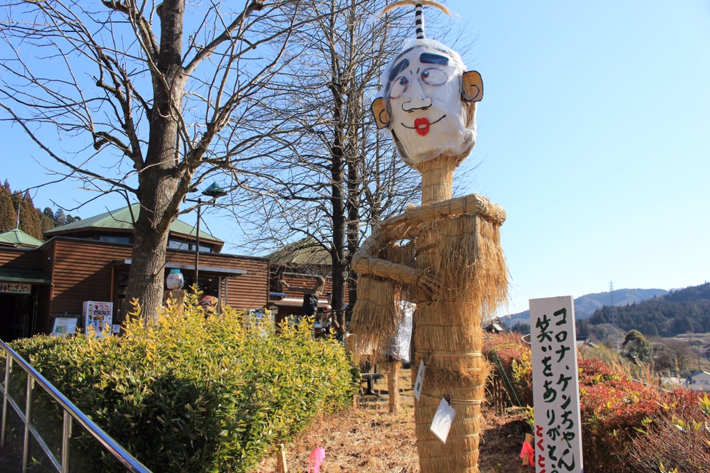 投稿された画像