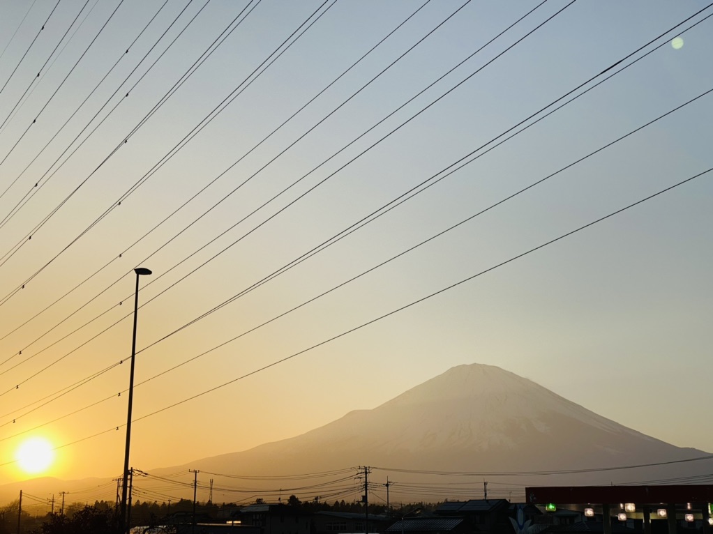 投稿された画像