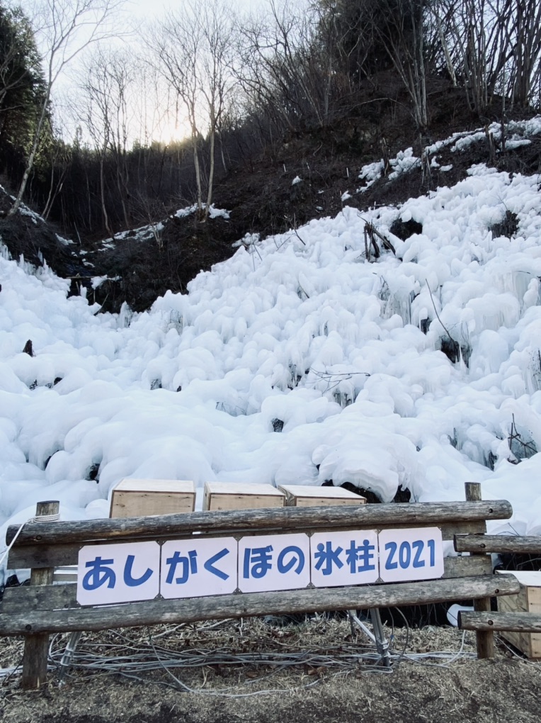 投稿された画像