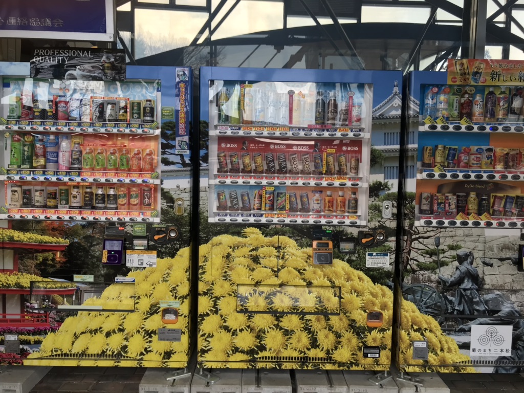 投稿された画像