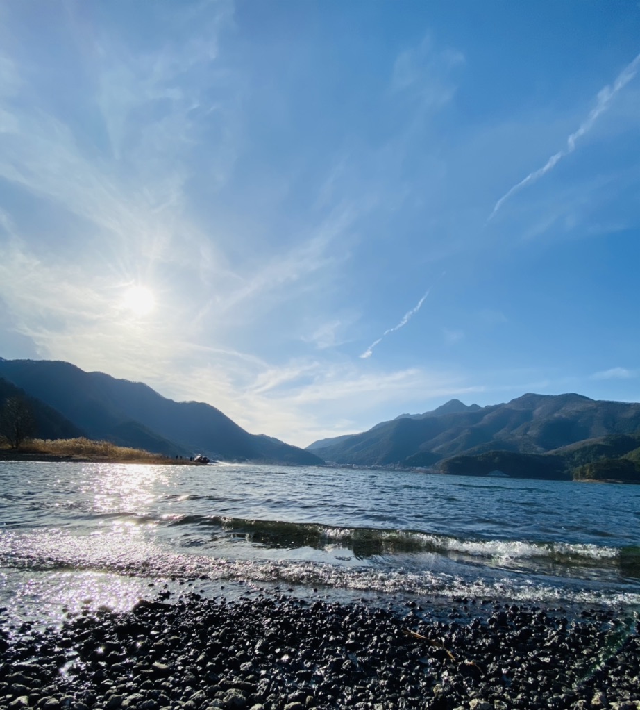 投稿された画像