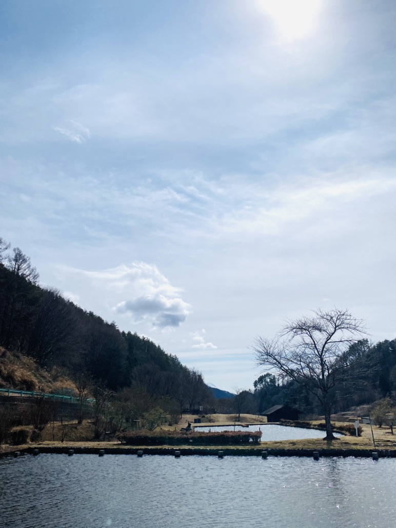 投稿された画像