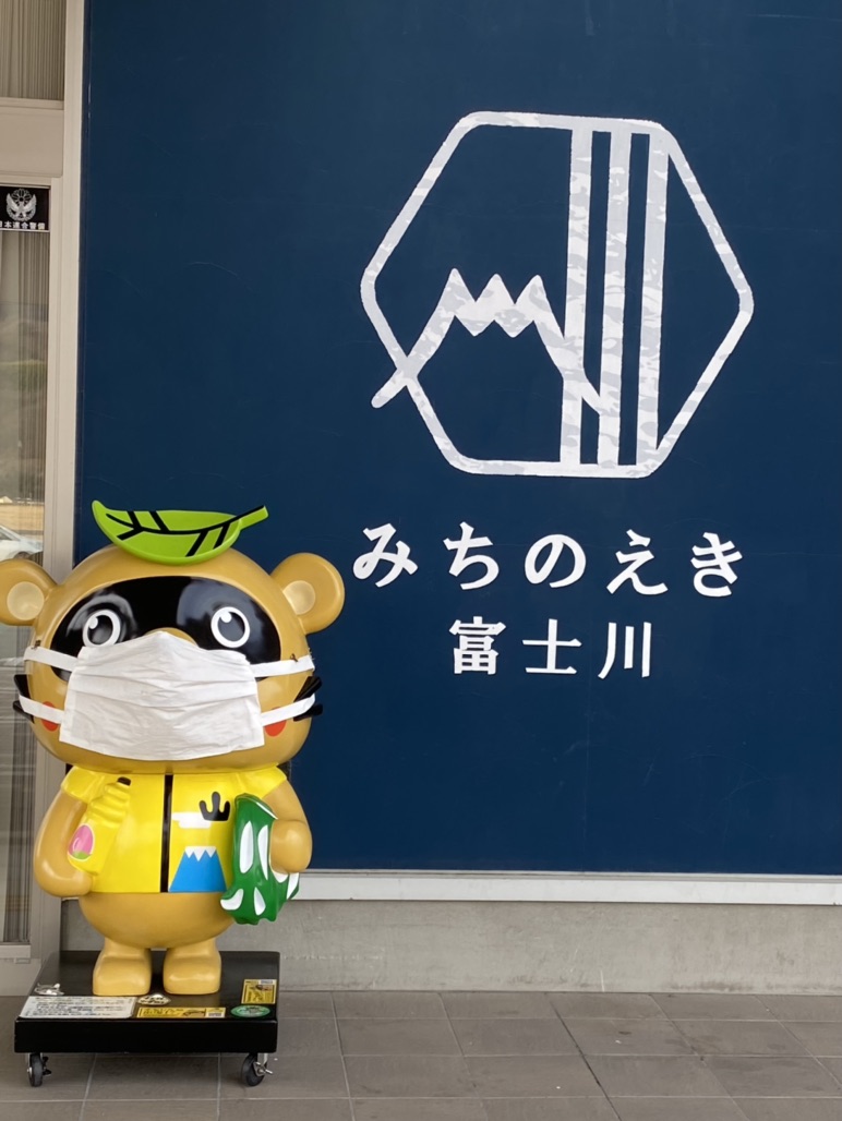 投稿された画像