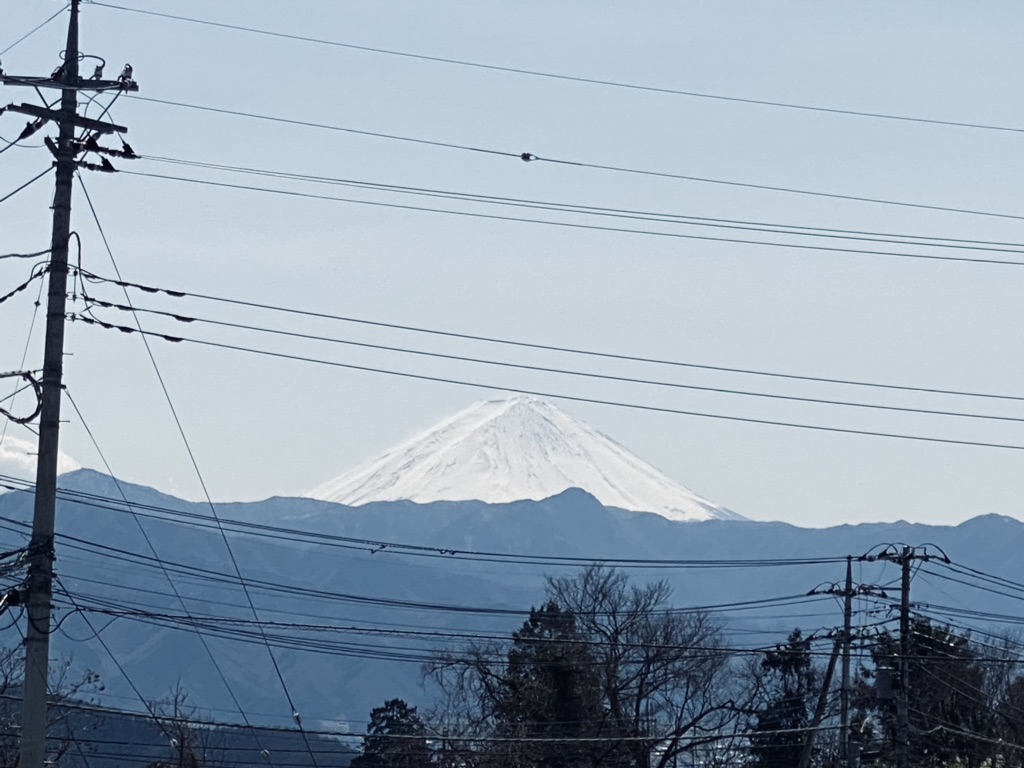 投稿された画像