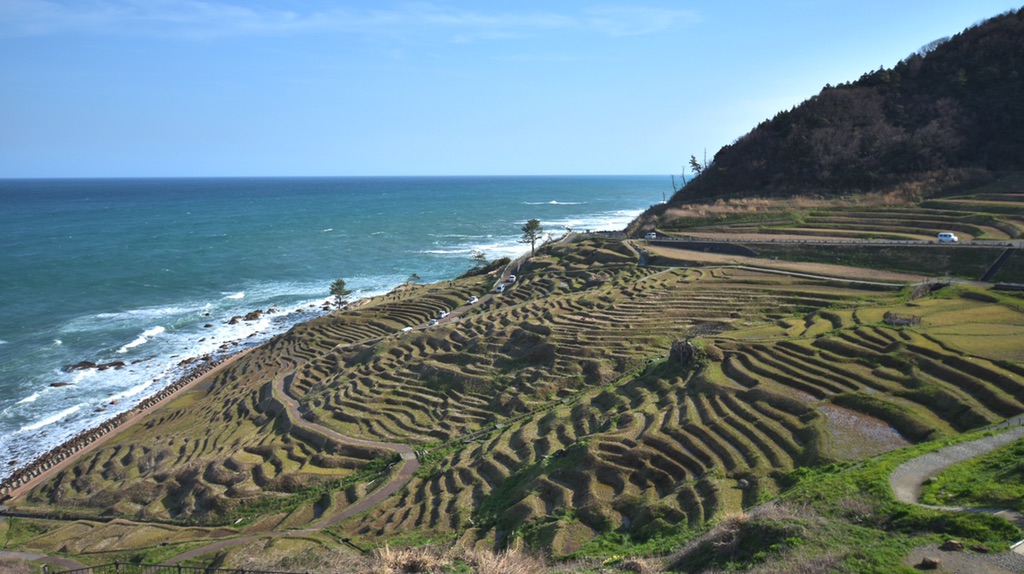 投稿された画像