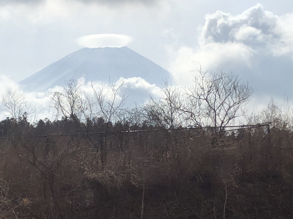 投稿された画像