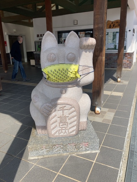 投稿された画像