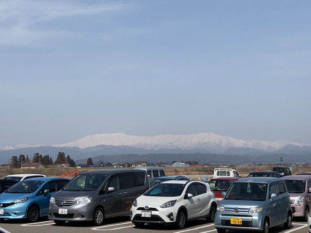 投稿された画像