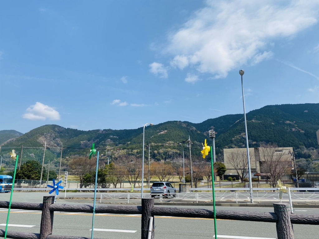 投稿された画像