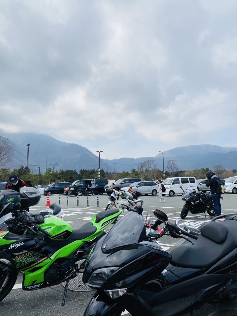 投稿された画像