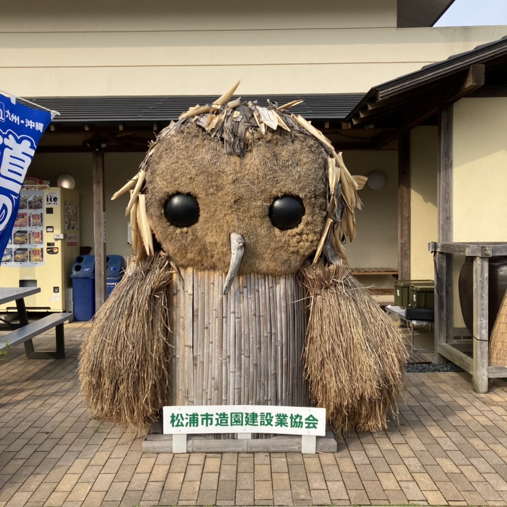 投稿された画像