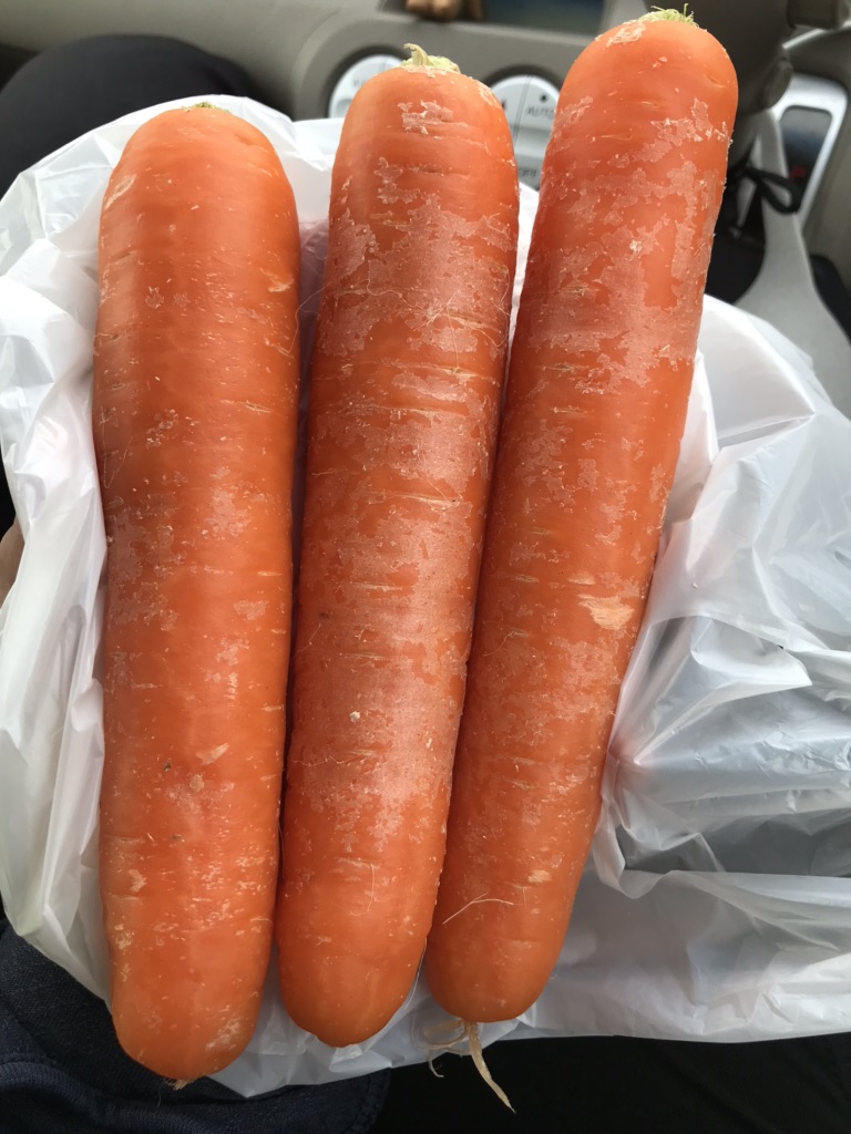 投稿された画像