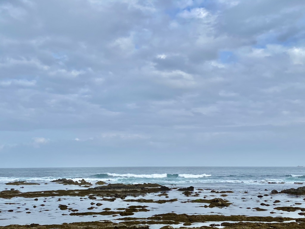 投稿された画像