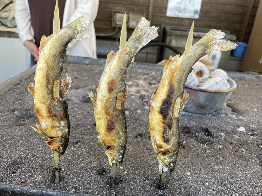 投稿された画像