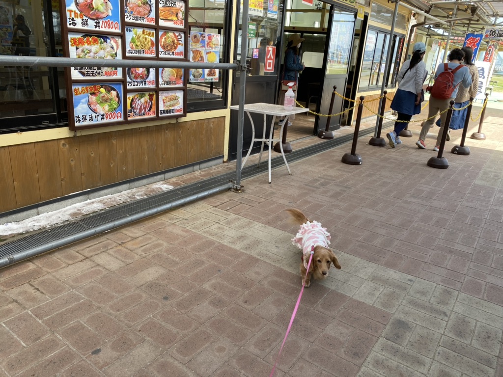 投稿された画像