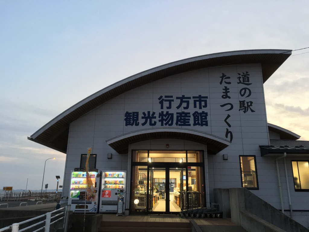 投稿された画像