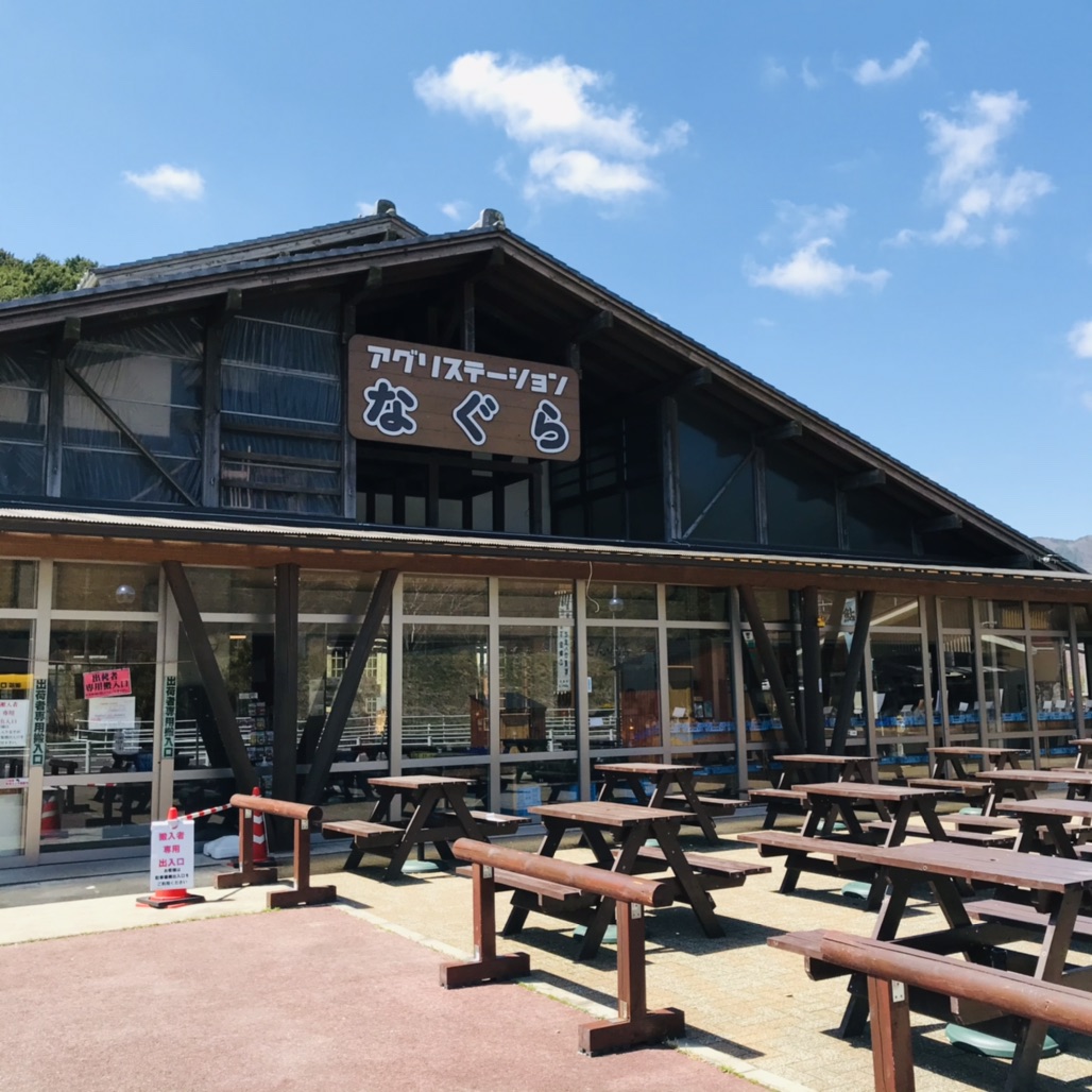 投稿された画像