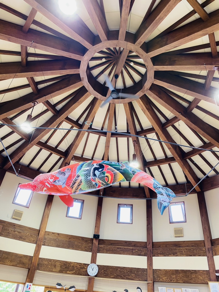 投稿された画像