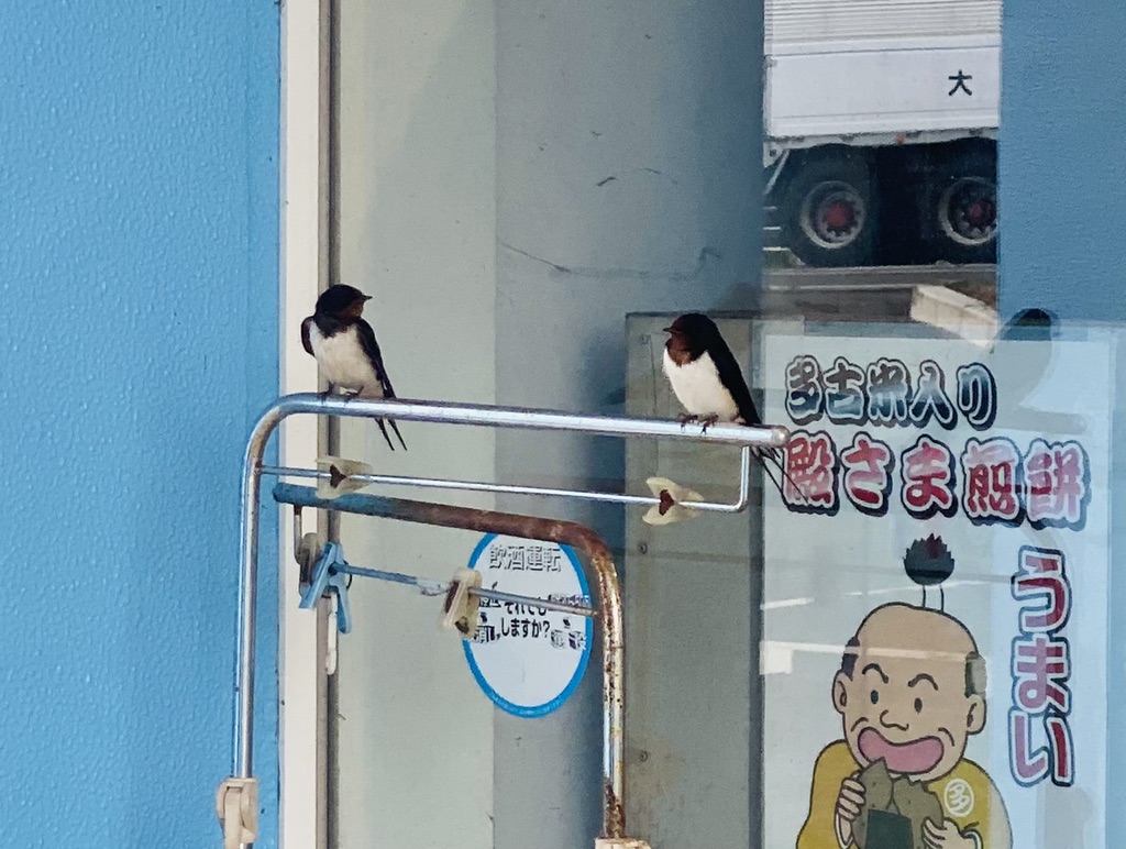 投稿された画像