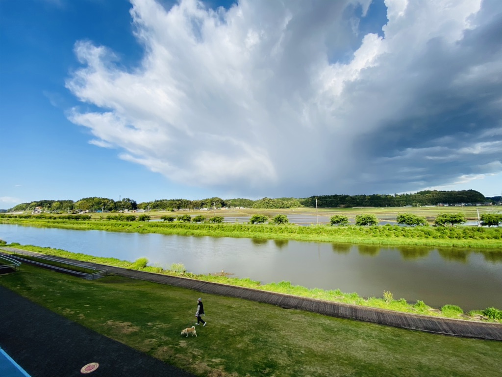 投稿された画像