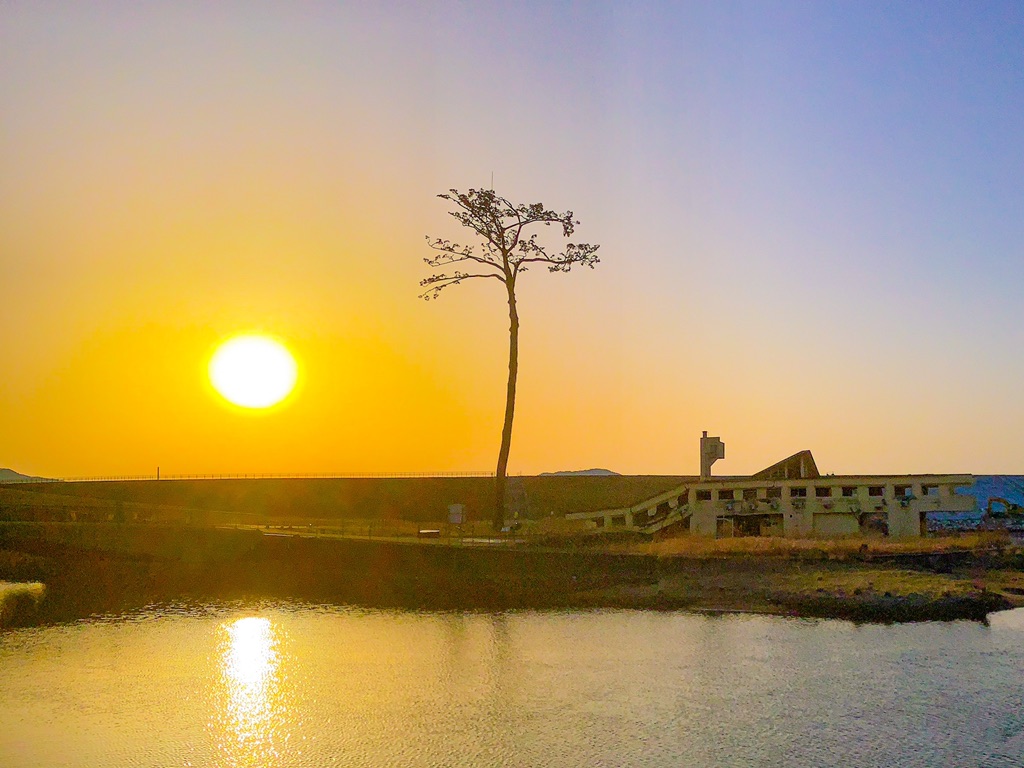 投稿された画像