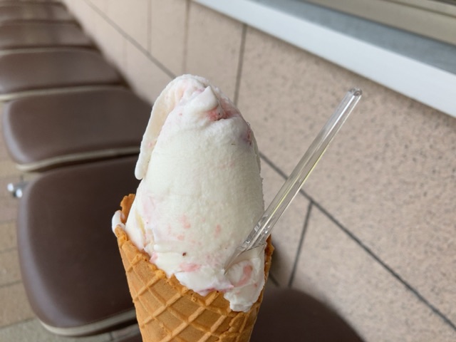 投稿された画像