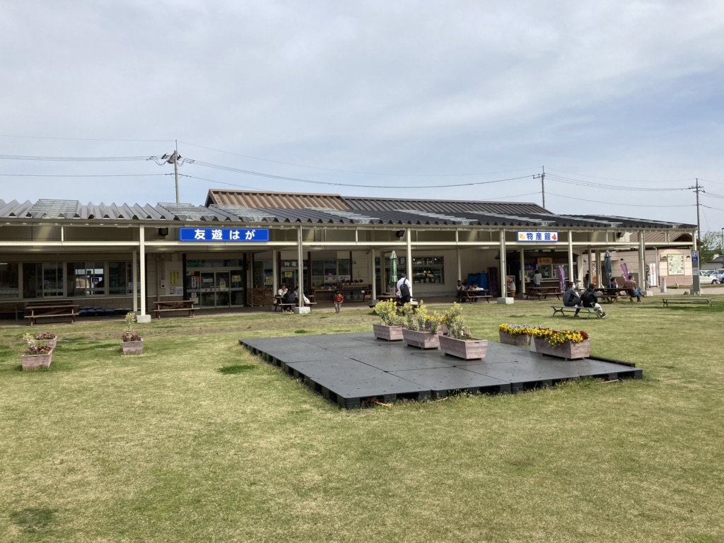 投稿された画像