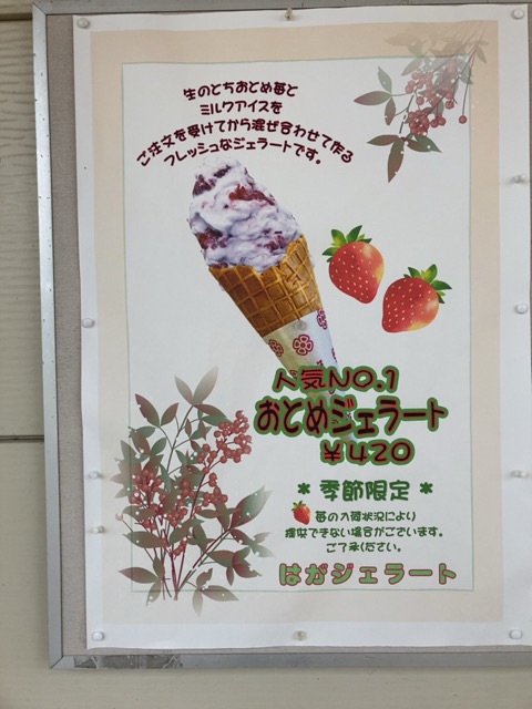 投稿された画像