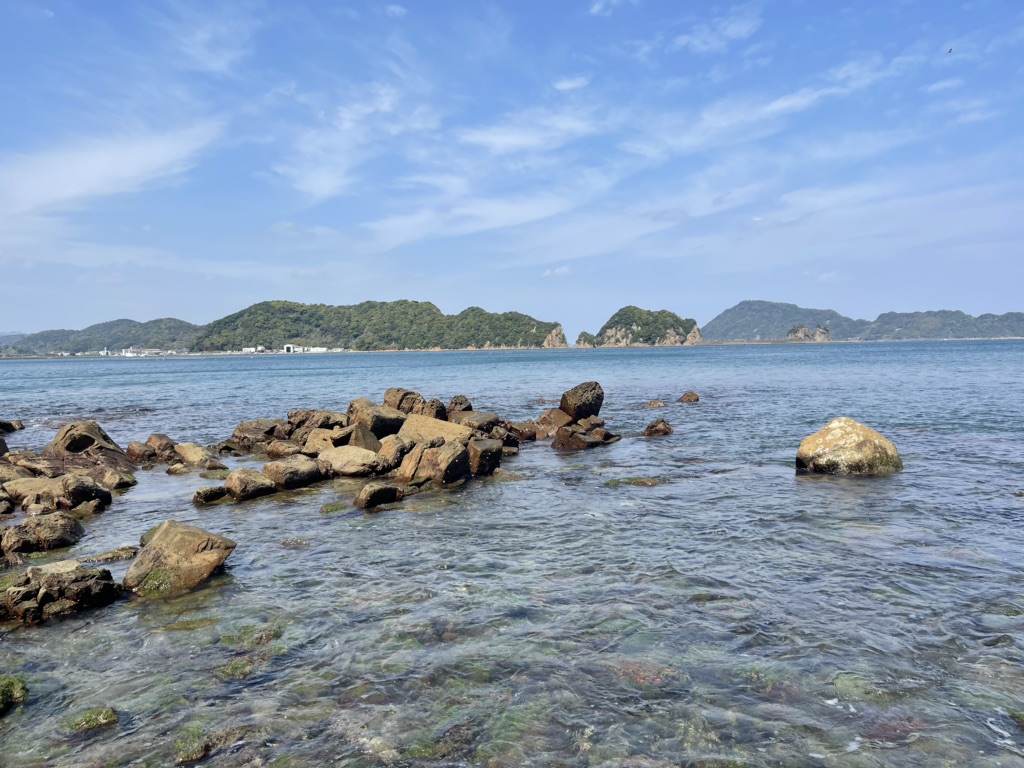 投稿された画像