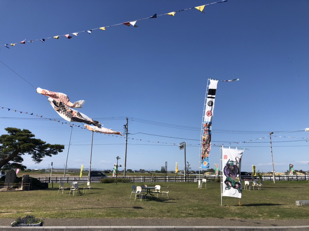 投稿された画像