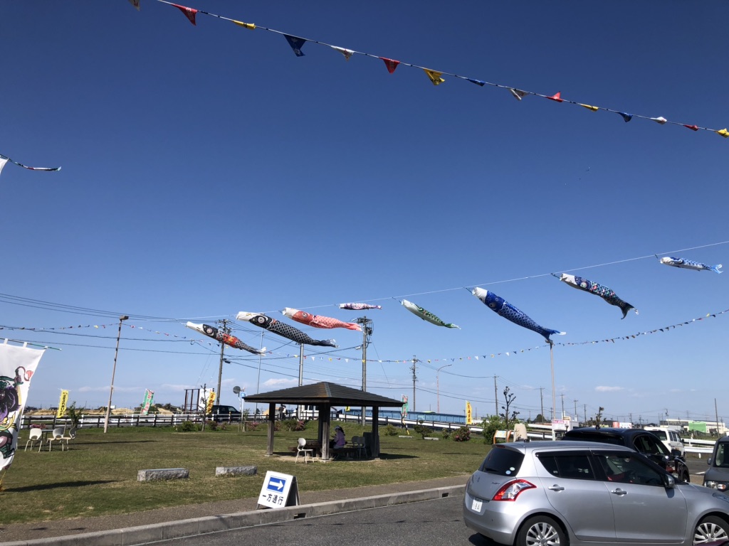 投稿された画像