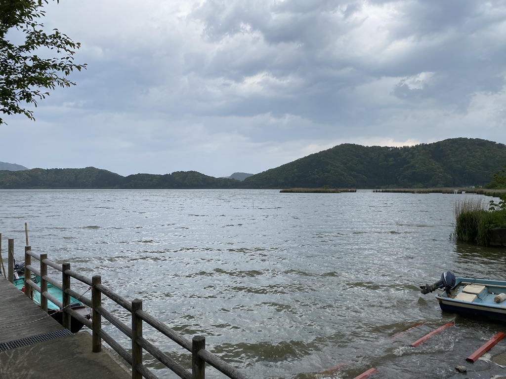 投稿された画像