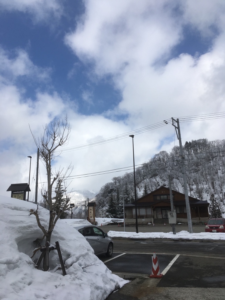 投稿された画像