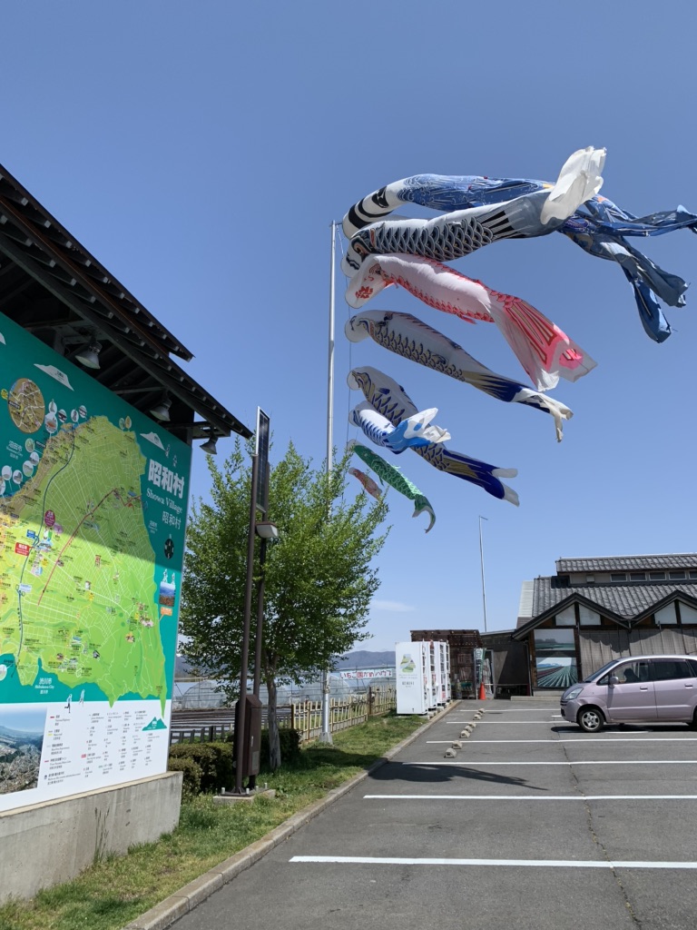 投稿された画像