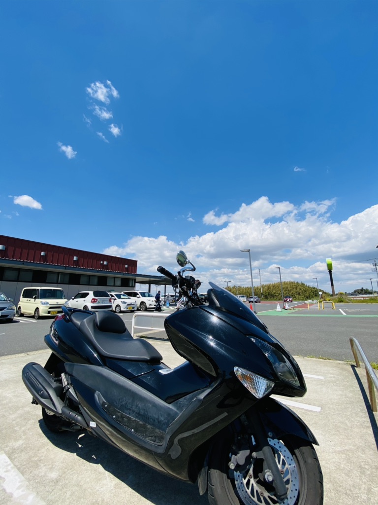 投稿された画像