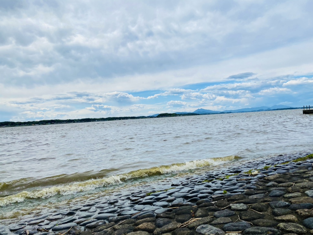 投稿された画像