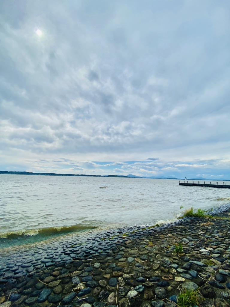 投稿された画像