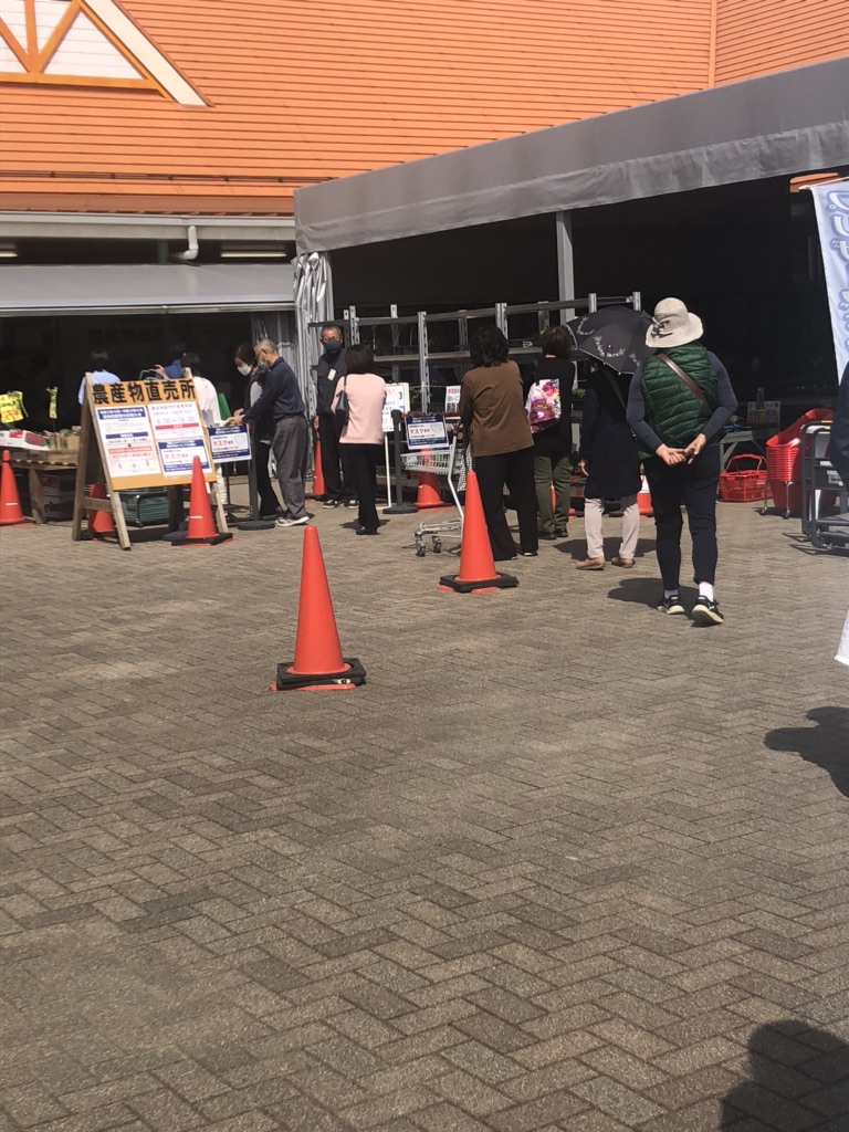 投稿された画像