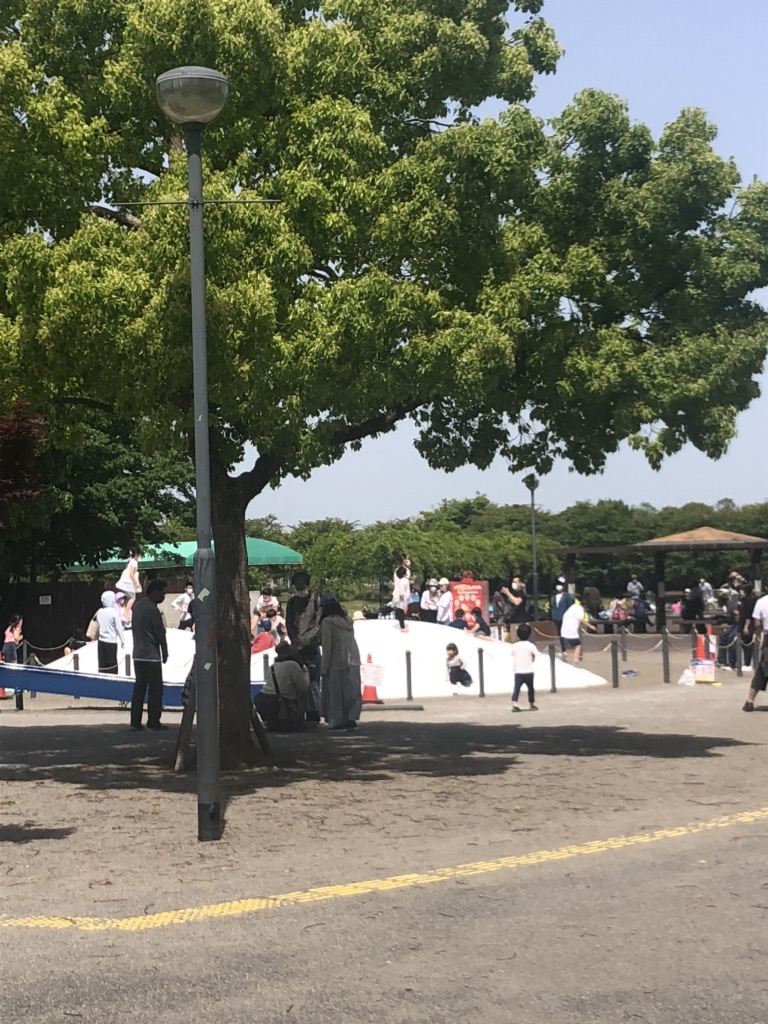 投稿された画像