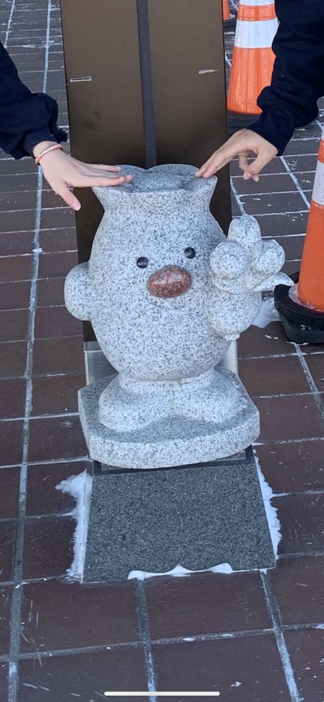 投稿された画像