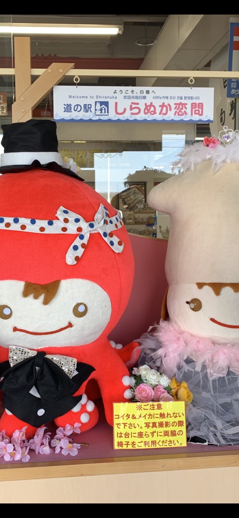 投稿された画像