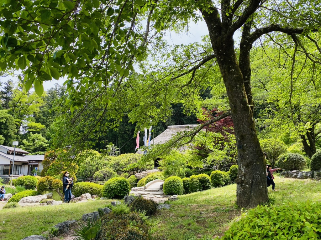 投稿された画像